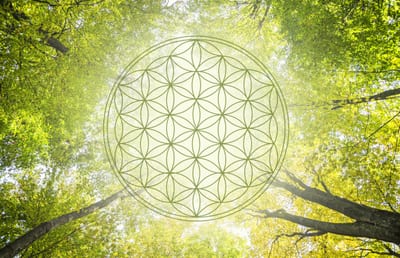 Geistiges Heilen / Chakren